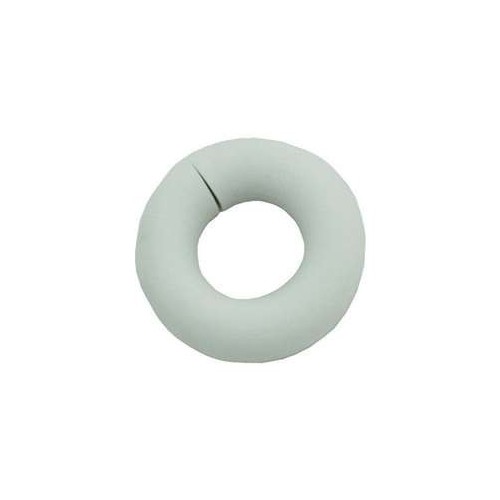 Anillo protector de Polaris...
